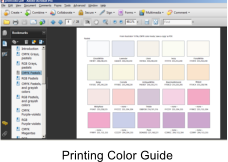 Printing Color Guide